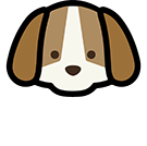 All 4 Paws Dog Grooming Training Academy Lancashire
