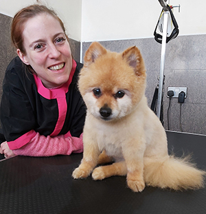 Student with dog in grooming salon