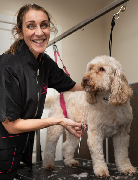 Christine Exley grooming a dog