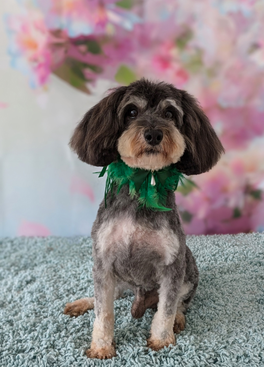 1000047558-Edit-Edit