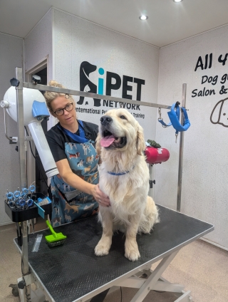 1000045508-Edit-Edit